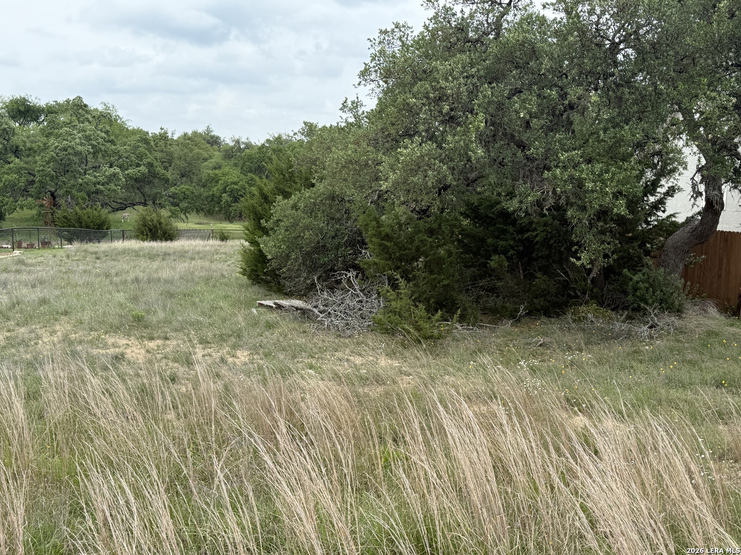 122 W Pat Dolan Blanco TX 78606