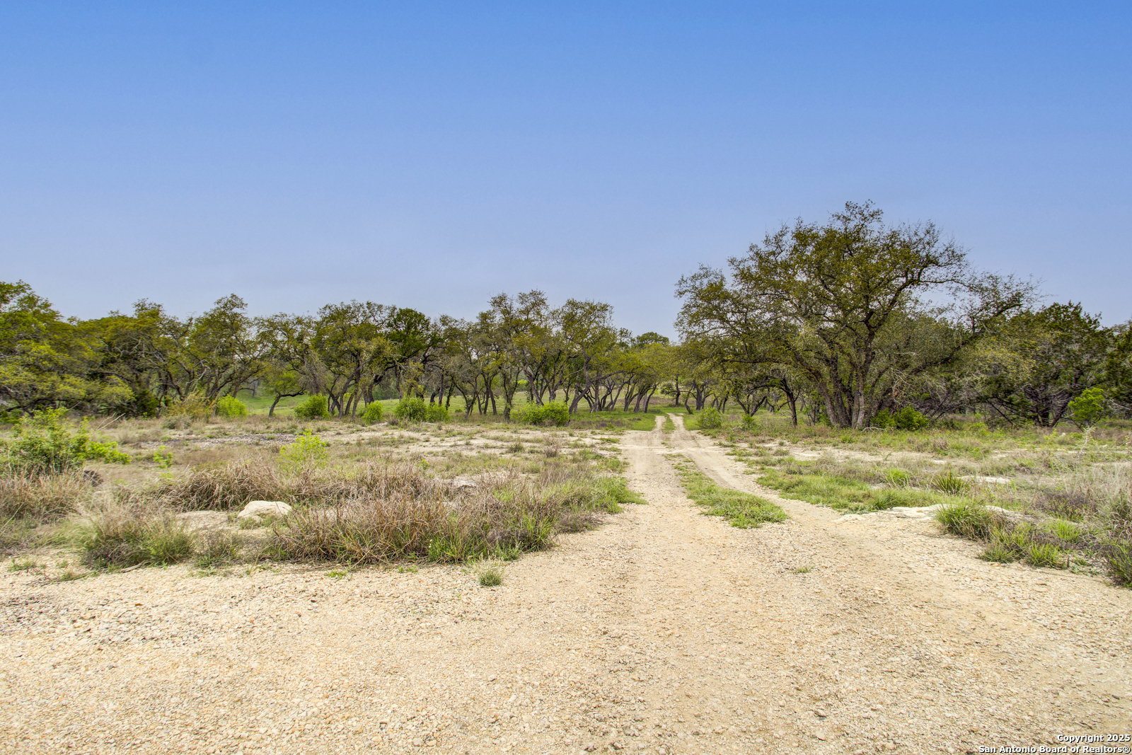 1782 Paradise Parkway Canyon Lake TX 78133