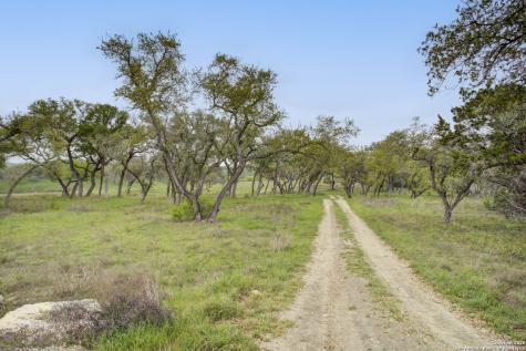 1782 Paradise Parkway Canyon Lake TX 78133