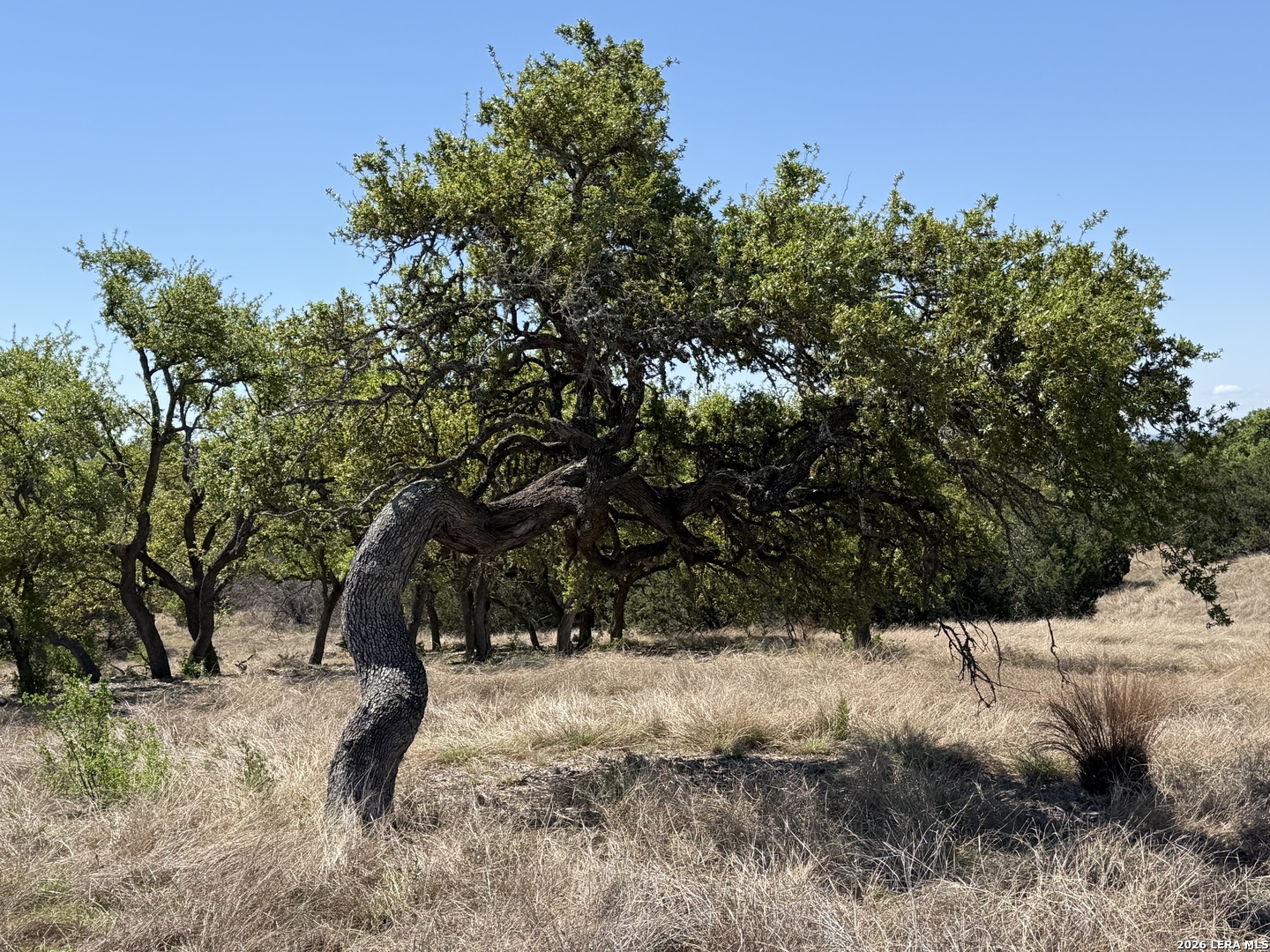 Tbd Mcvea Woods Road Kerrville TX 78028