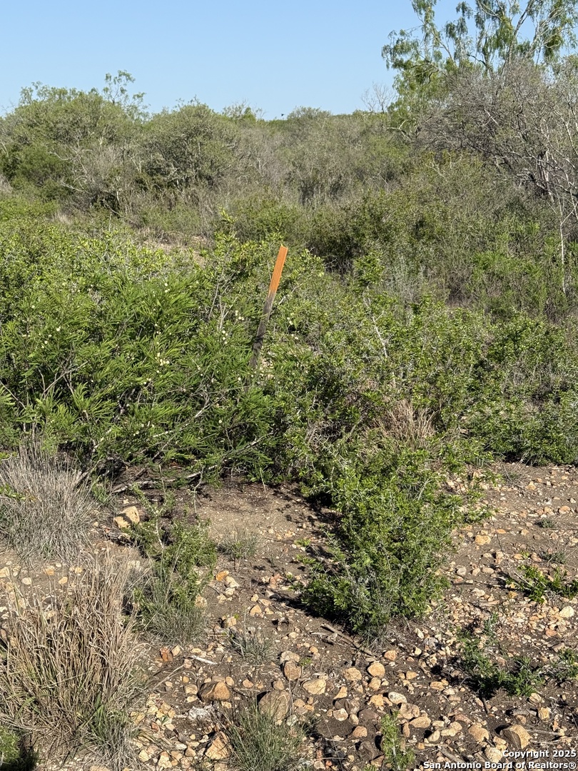 Tract 34 Cr1515 Moore TX 78057