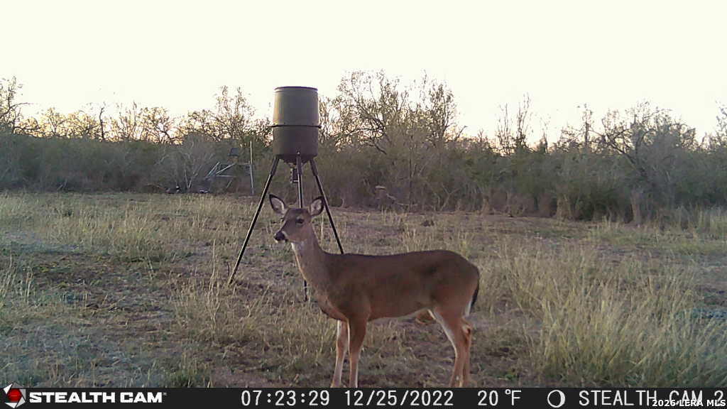 464 Cr354 Charlotte TX 78011