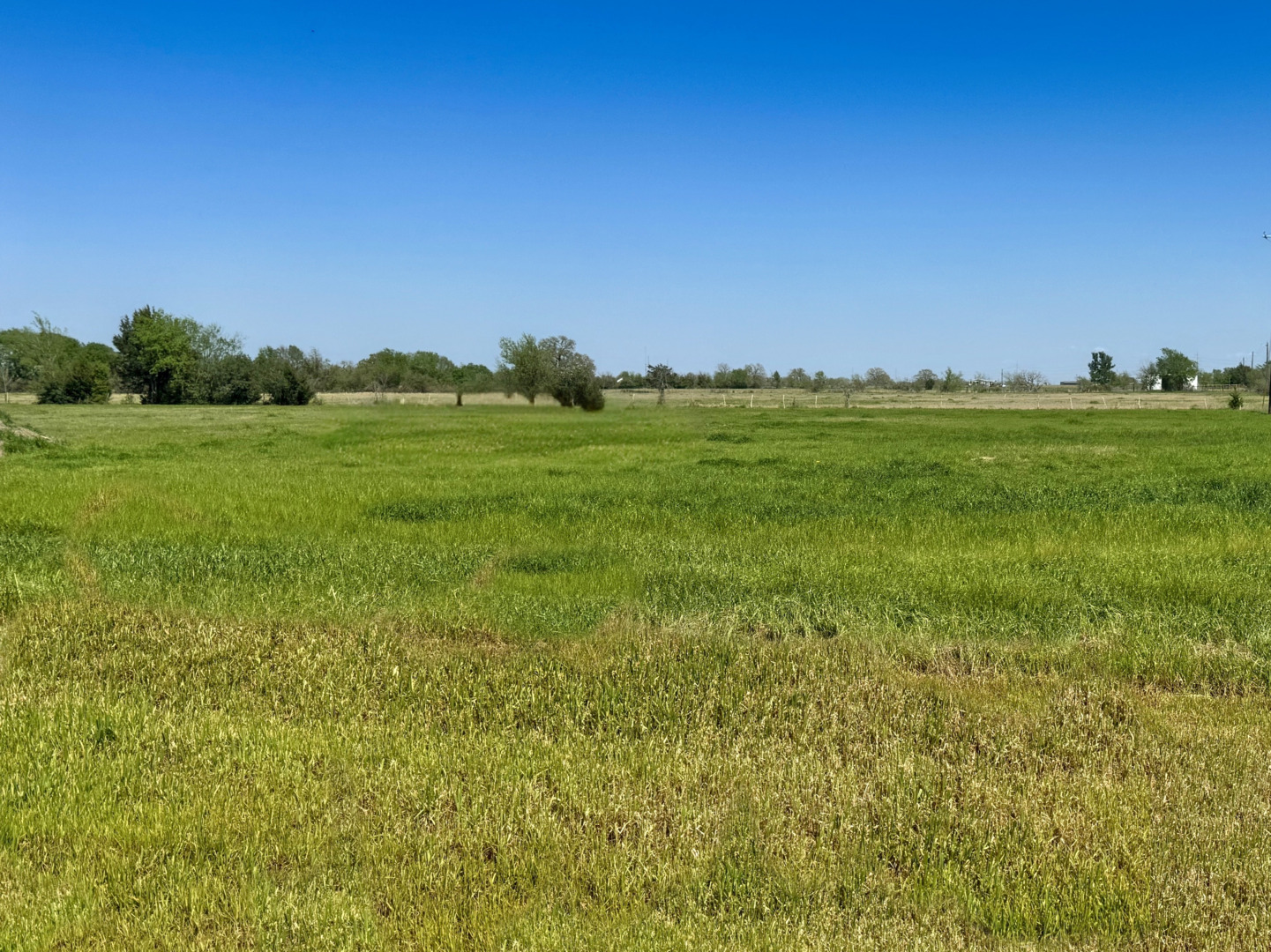 9866 Panther Creek Drive Iola TX 77861