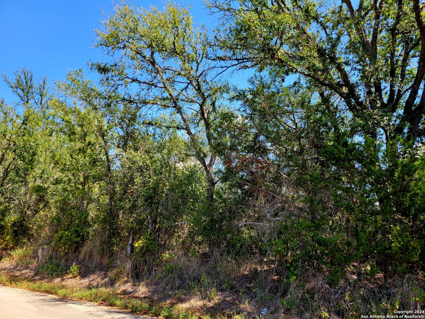 Tbd Dale Lane Dale TX 78616