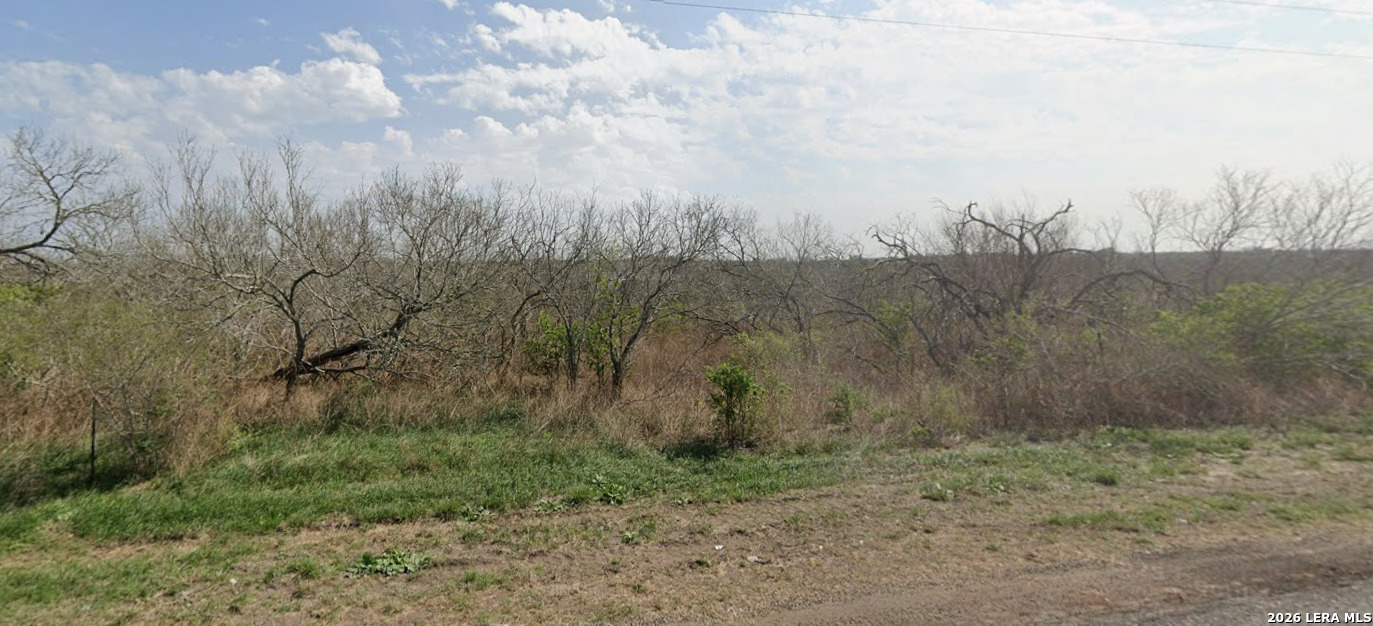 0 Fm 2509 Kenedy TX 78119