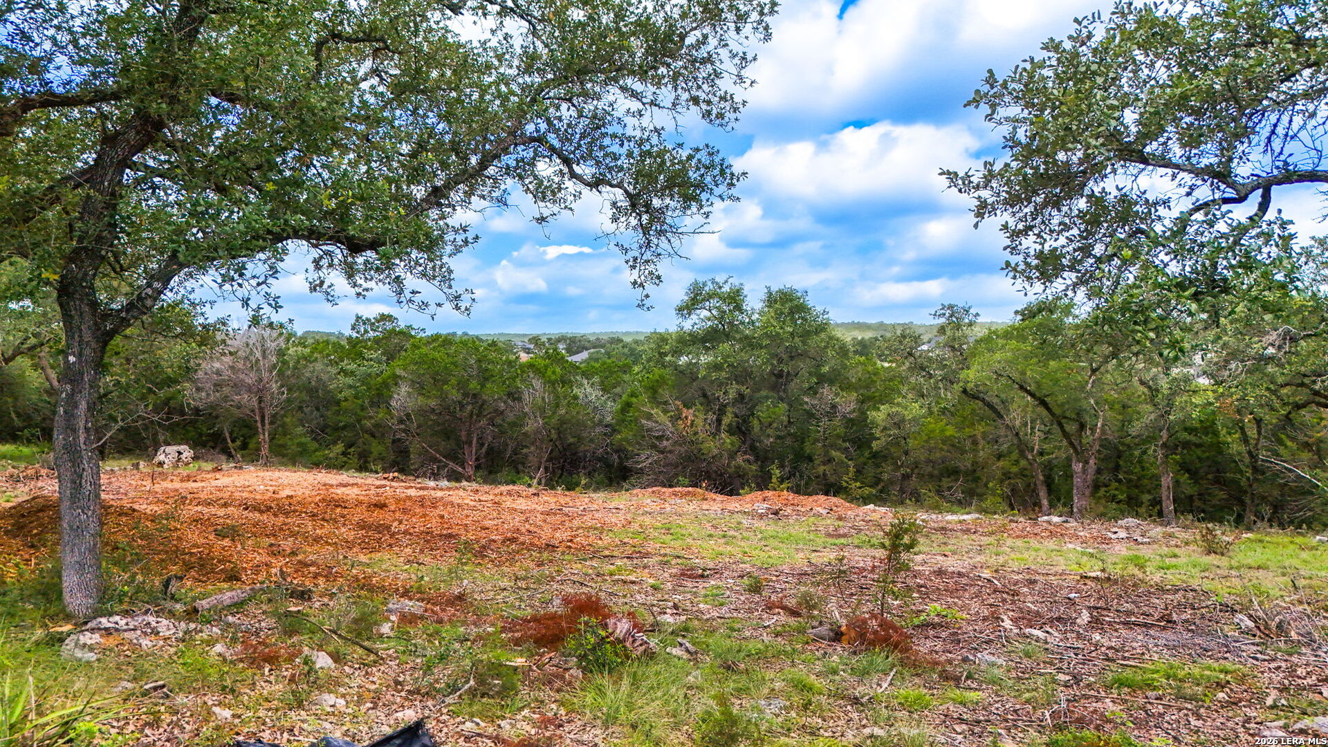 1231 Wild Rose Drive New Braunfels TX 78132