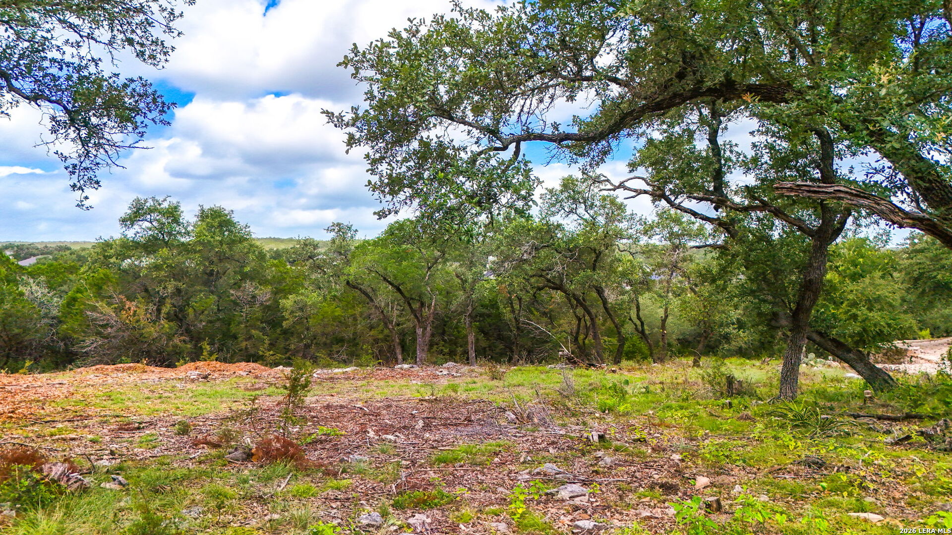 1231 Wild Rose Drive New Braunfels TX 78132