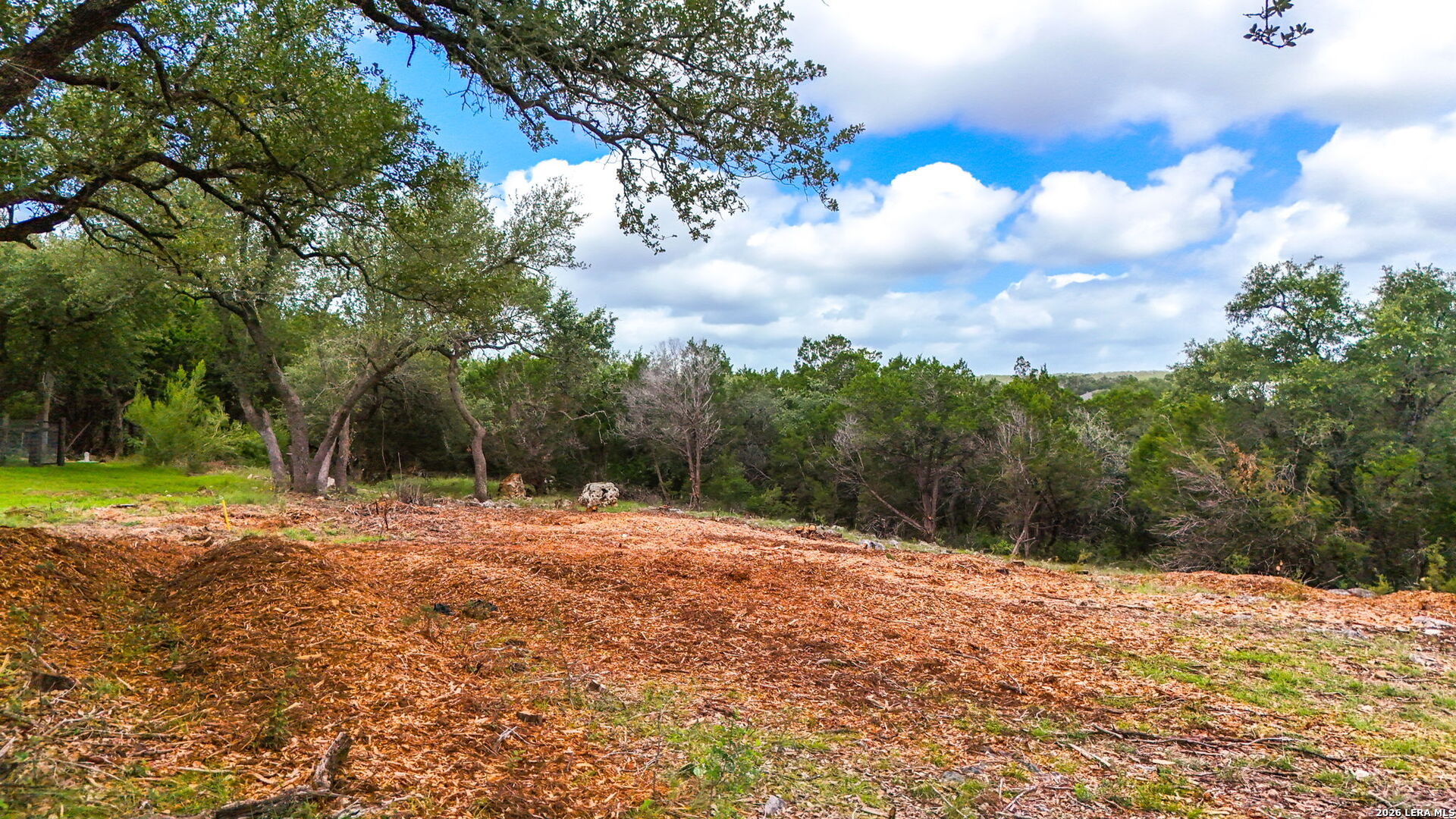 1231 Wild Rose Drive New Braunfels TX 78132