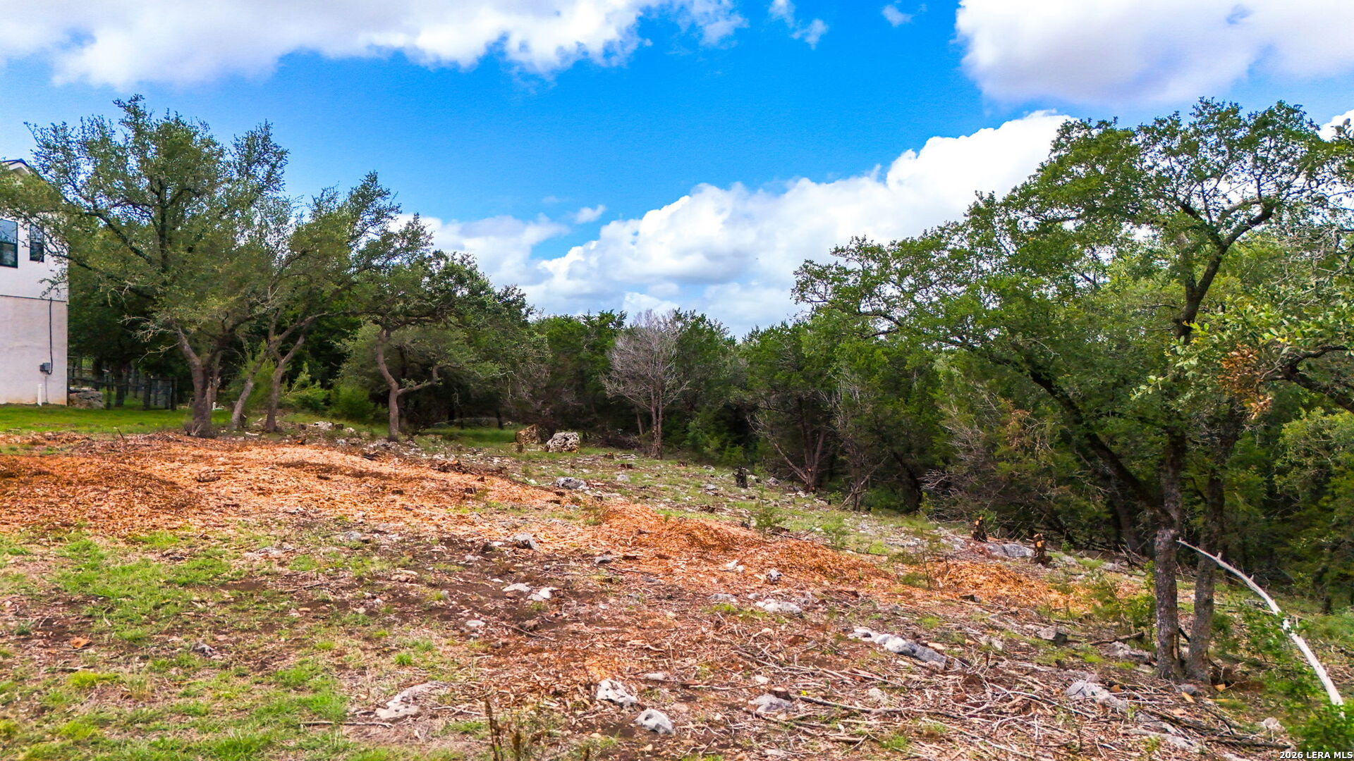 1231 Wild Rose Drive New Braunfels TX 78132