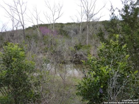 17032 Scenic Loop Road Helotes TX 78023