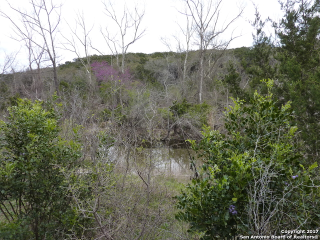 17032 Scenic Loop Road Helotes TX 78023