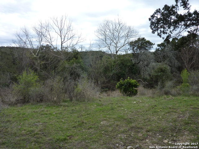 17032 Scenic Loop Road Helotes TX 78023