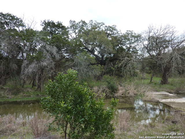 17032 Scenic Loop Road Helotes TX 78023