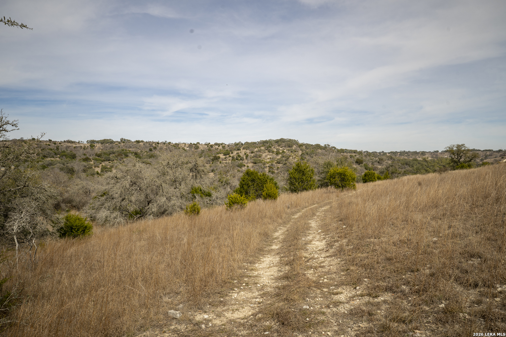 100 Stieler Valley Comfort TX 78013