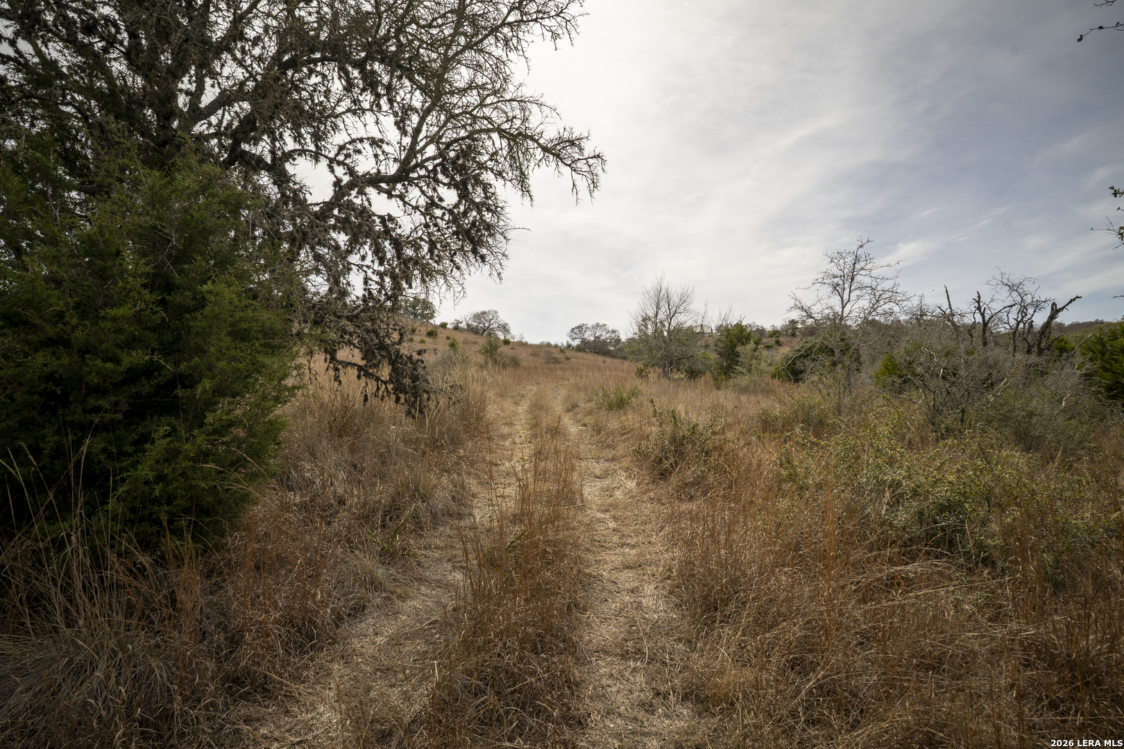 100 Stieler Valley Comfort TX 78013