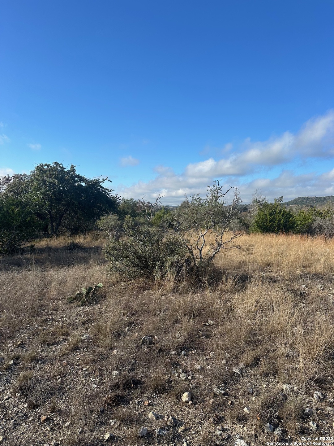 119 Platten Creek Boerne TX 78006