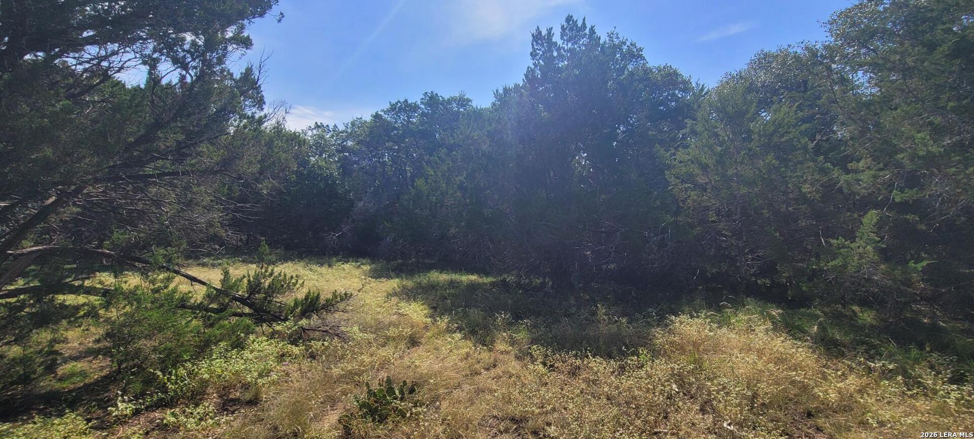 5190 Spring Branch Spring Branch TX 78070