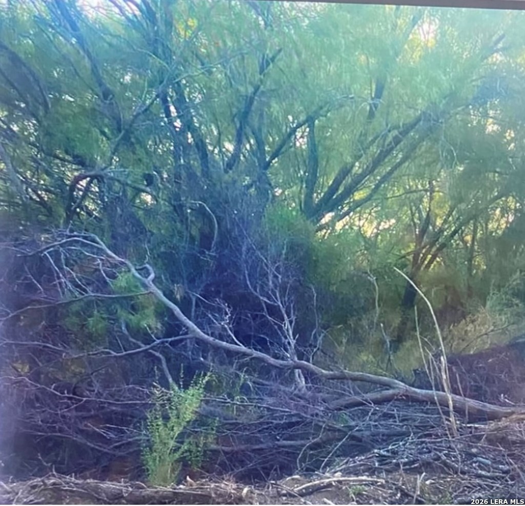490 D Chavarria Road Eagle Pass TX 78852