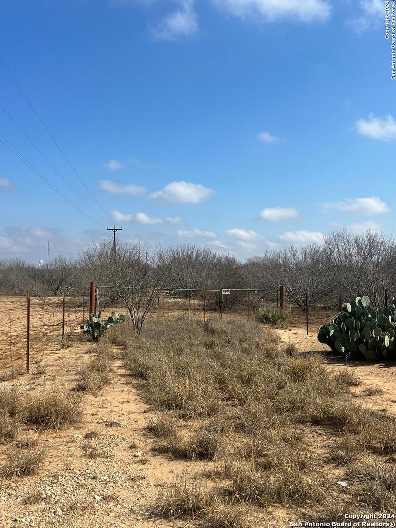 2453 Fm 1917 Carrizo Springs TX 78834