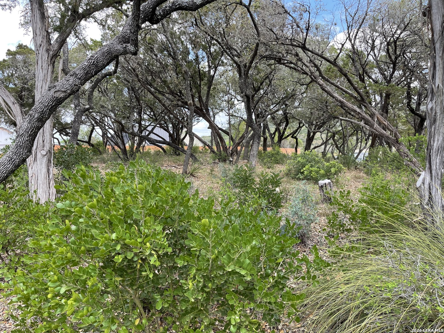 Lots 11&12 Elm Cove Lakehills TX 78063