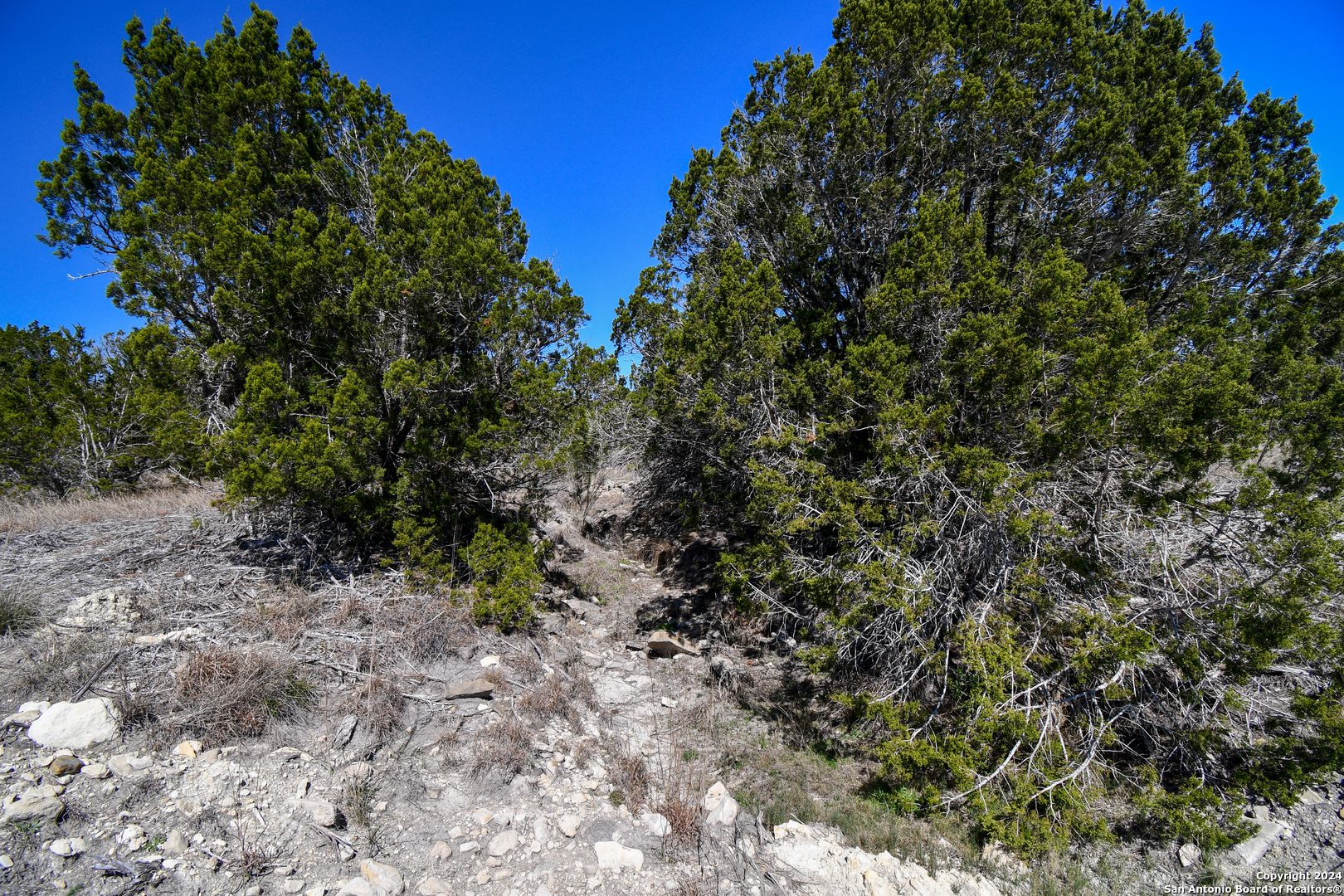 699 Cool Creek Road Camp Verde TX 78010