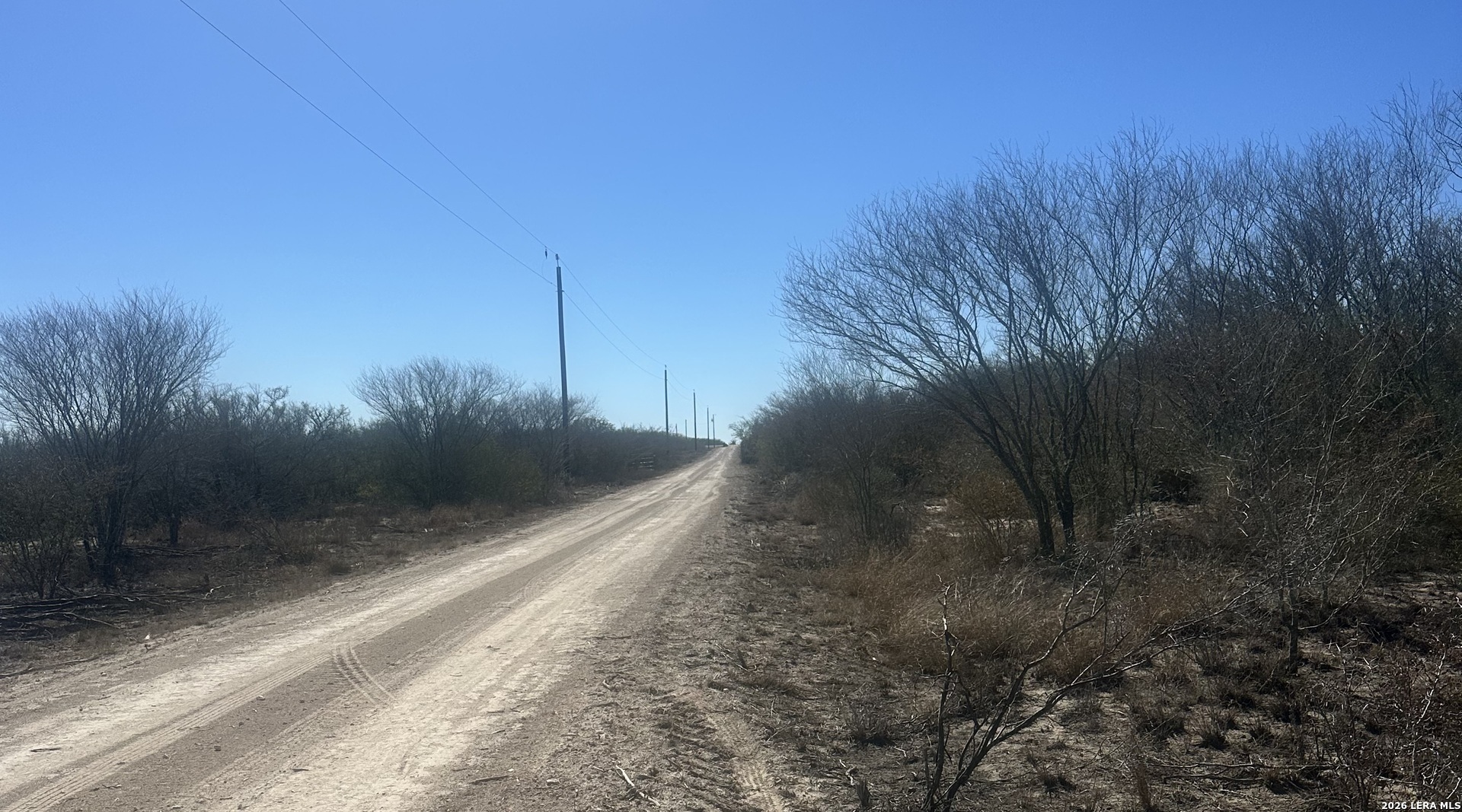 0 Raccoon Drive George West TX 78022