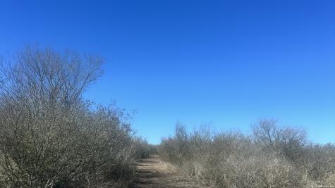 0 Raccoon Drive George West TX 78022