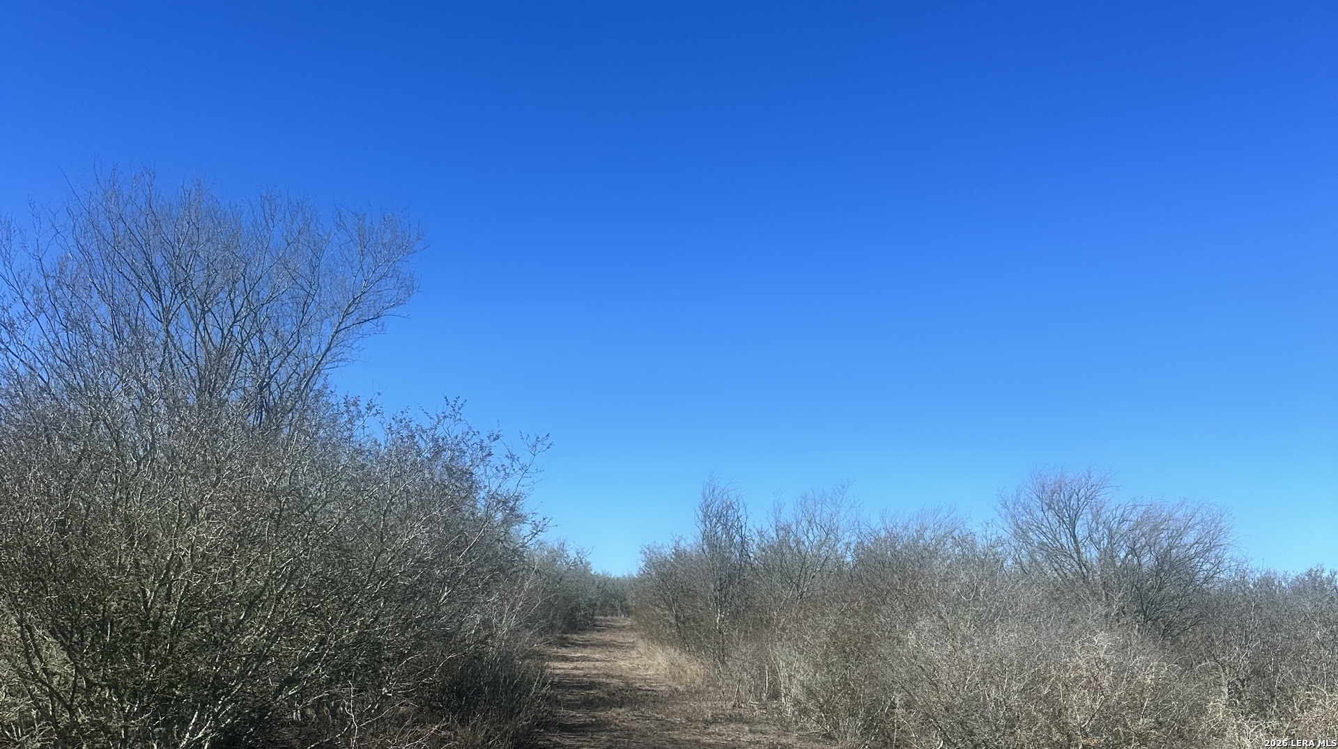 0 Raccoon Drive George West TX 78022