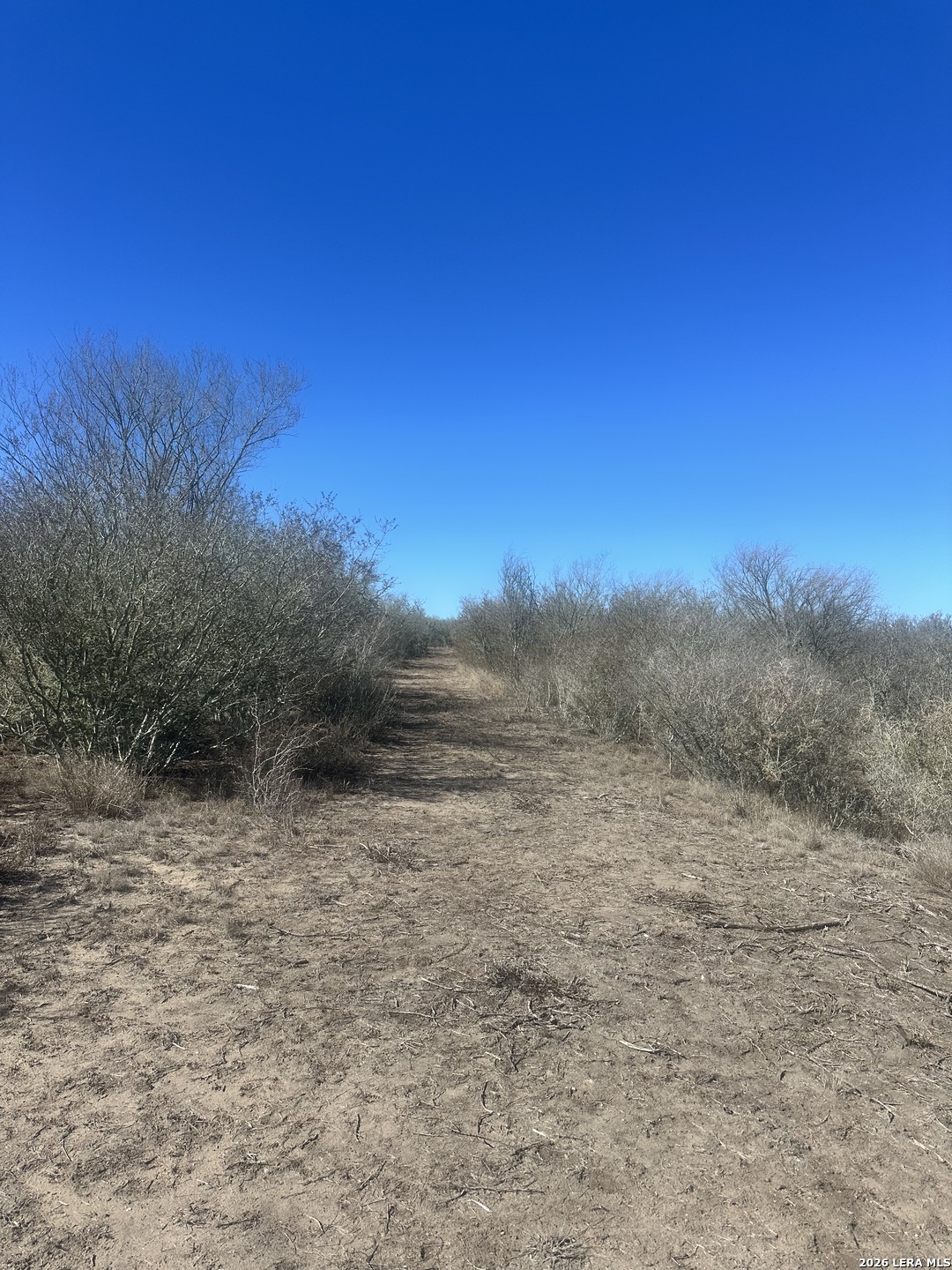 0 Raccoon Drive George West TX 78022