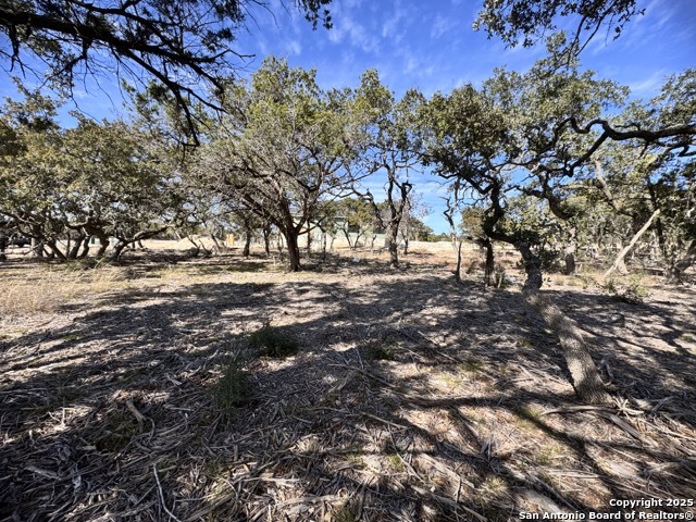 34706 Deeanne Valley Bulverde TX 78163