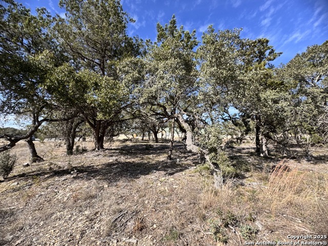 34706 Deeanne Valley Bulverde TX 78163