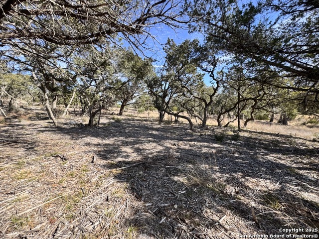 34706 Deeanne Valley Bulverde TX 78163
