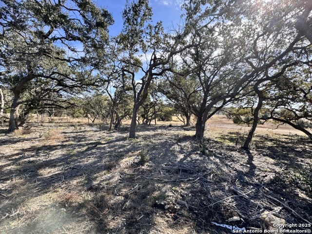 34706 Deeanne Valley Bulverde TX 78163