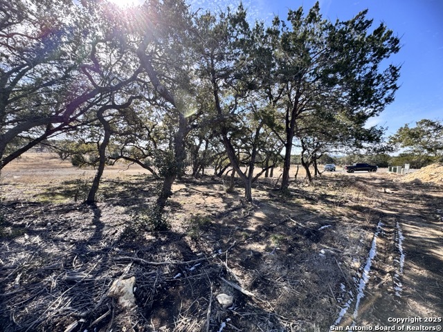 34706 Deeanne Valley Bulverde TX 78163