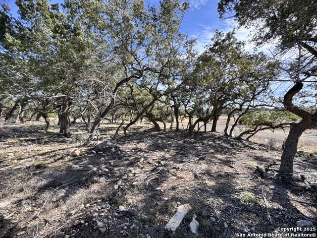 34706 Deeanne Valley Bulverde TX 78163