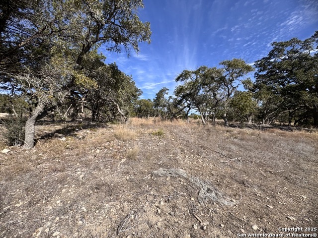 34706 Deeanne Valley Bulverde TX 78163