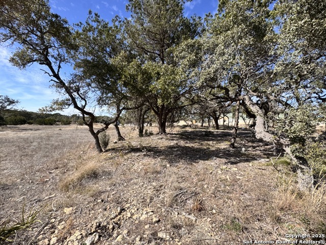 34706 Deeanne Valley Bulverde TX 78163