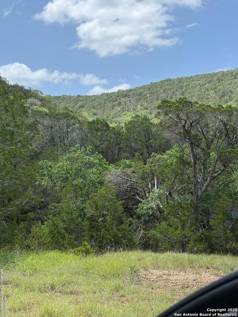 159 Valley Vista Tarpley TX 78883