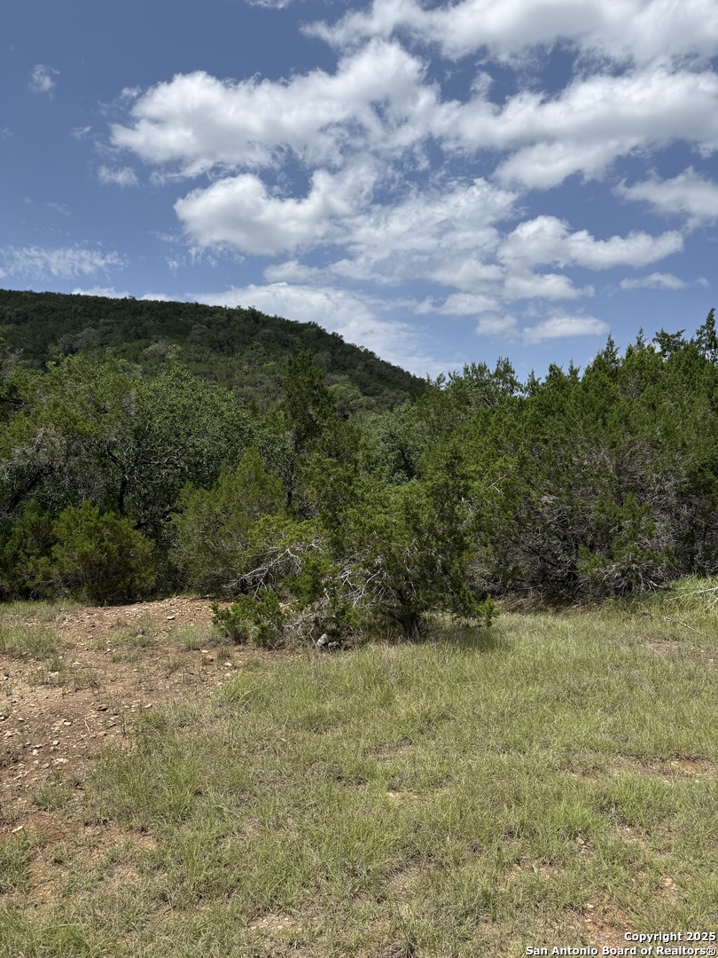 159 Valley Vista Tarpley TX 78883