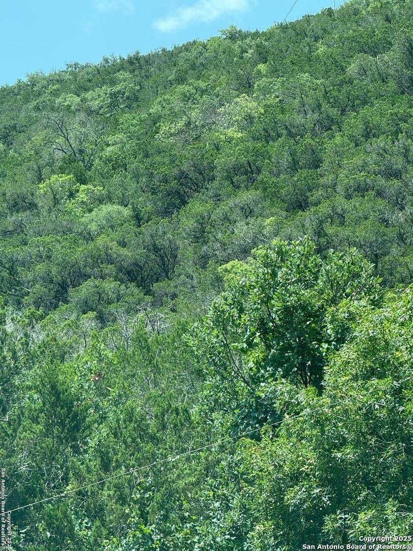 159 Valley Vista Tarpley TX 78883
