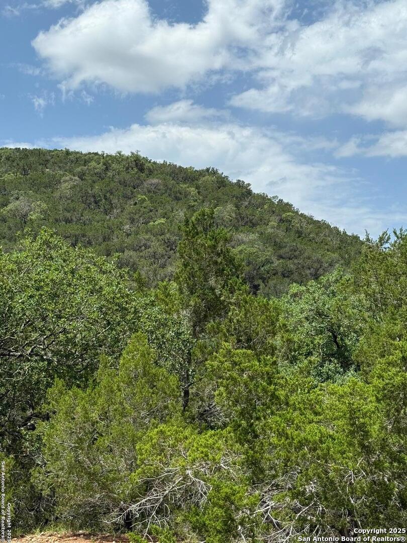159 Valley Vista Tarpley TX 78883