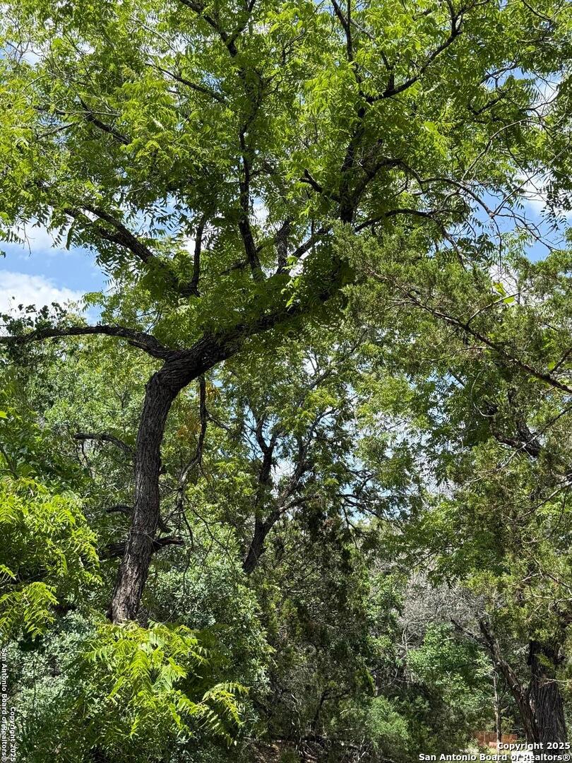 159 Valley Vista Tarpley TX 78883