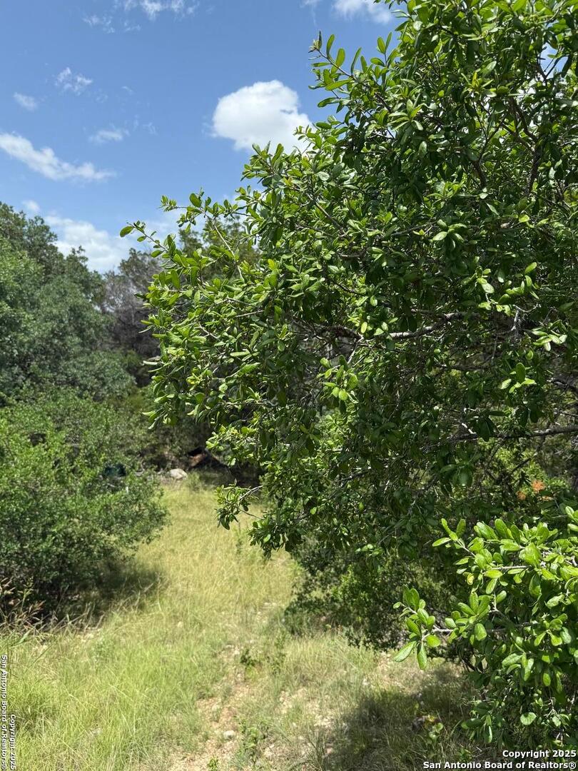 159 Valley Vista Tarpley TX 78883