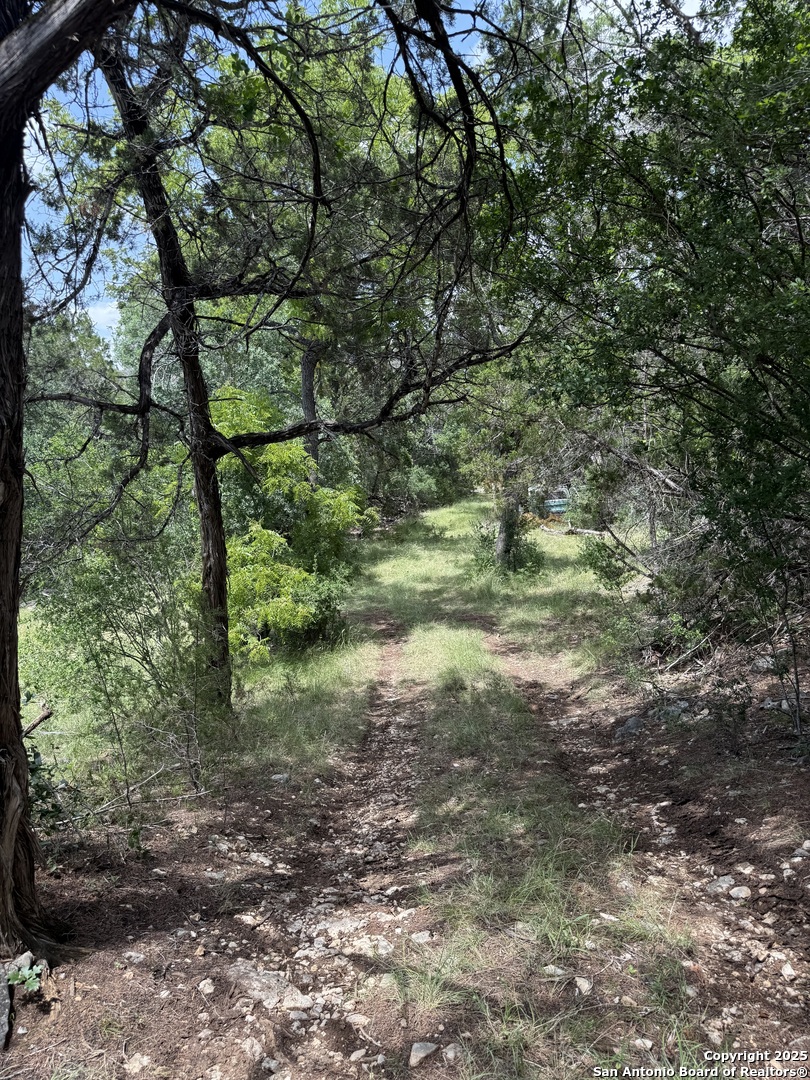 159 Valley Vista Tarpley TX 78883