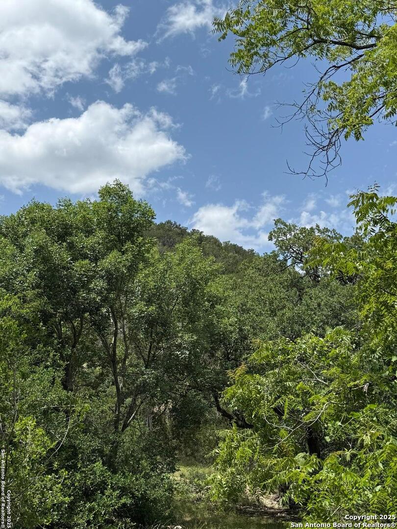 159 Valley Vista Tarpley TX 78883