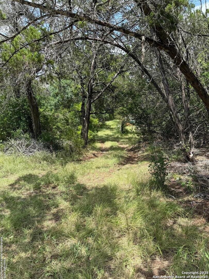 159 Valley Vista Tarpley TX 78883