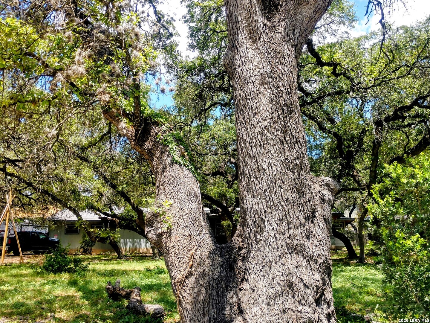 11807 - 11819 Orsinger Lane San Antonio TX 78213