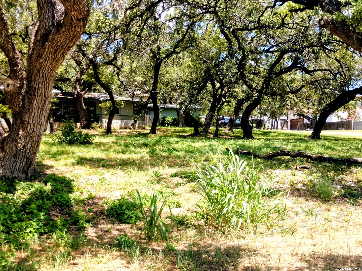 11807 - 11819 Orsinger Lane San Antonio TX 78213