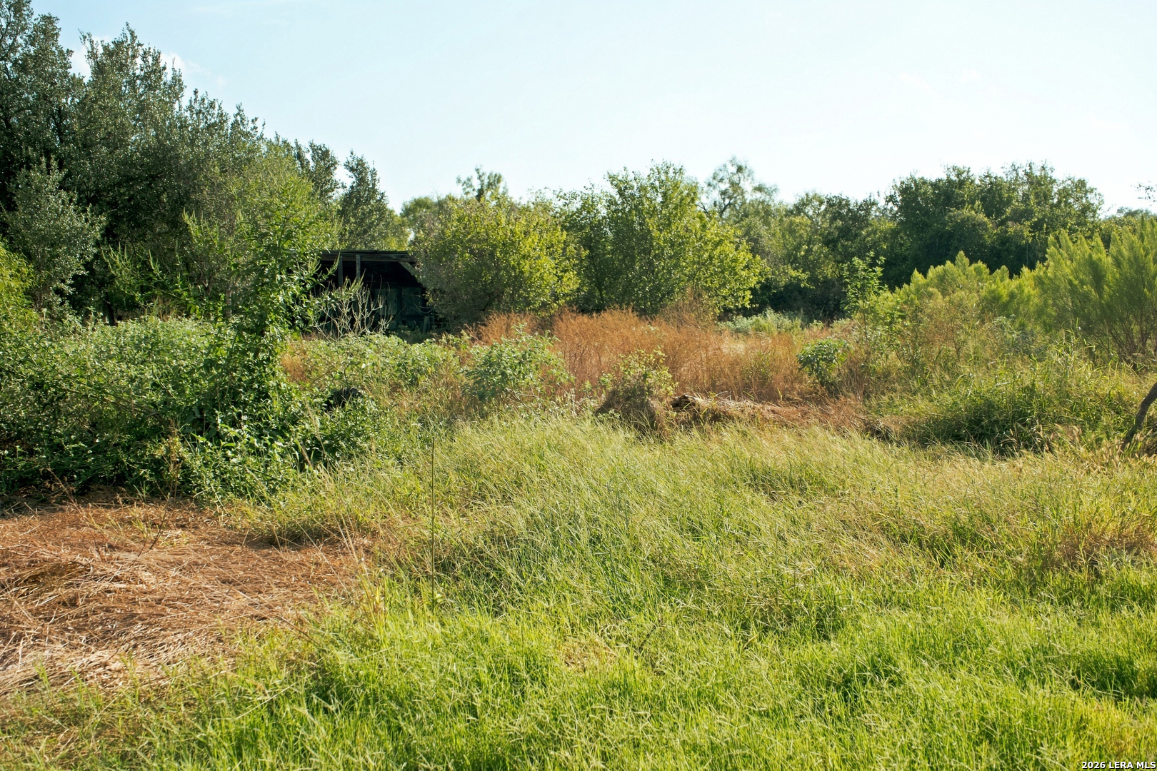 200 Lolita Drive Lytle TX 78052