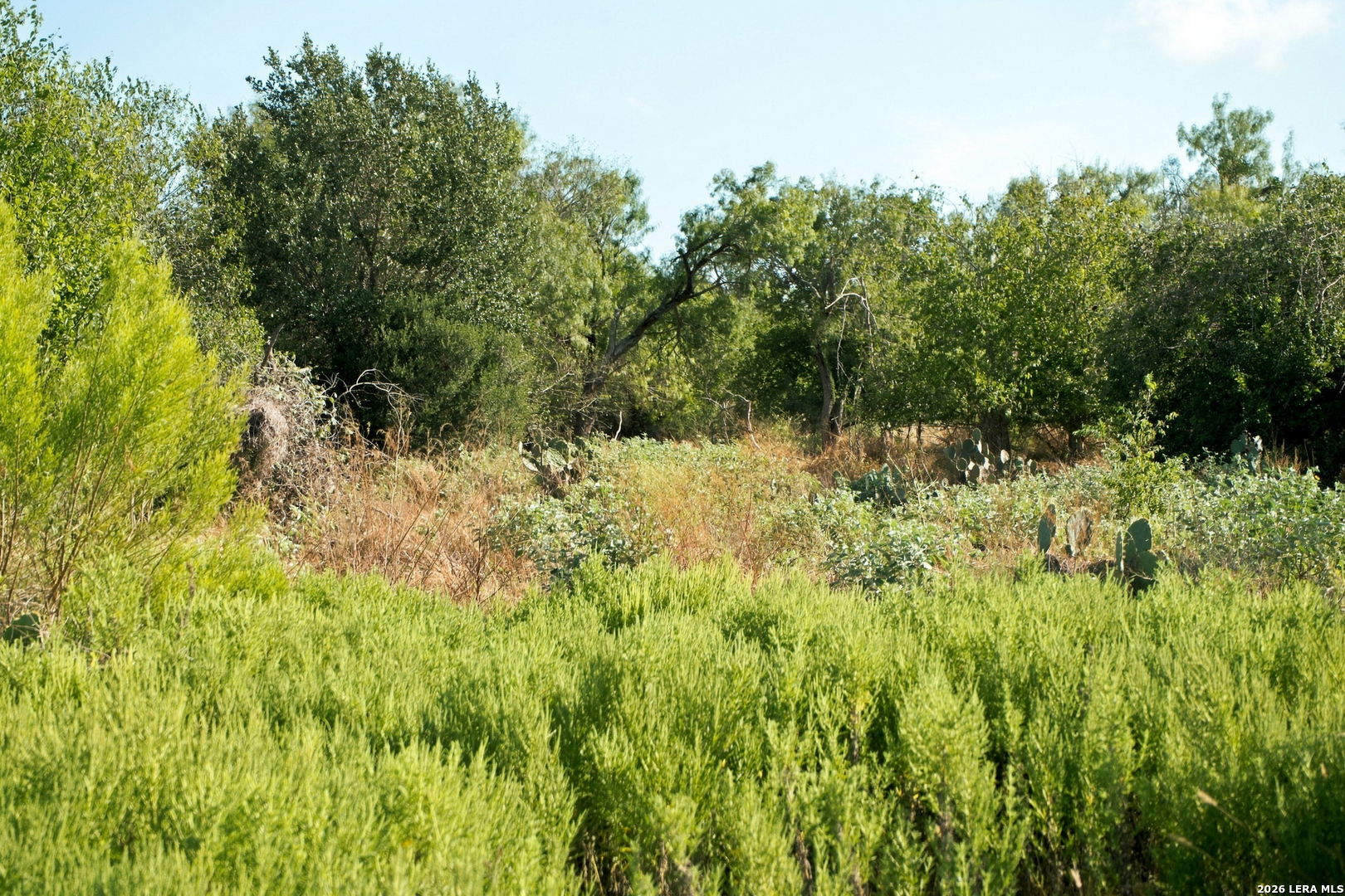 200 Lolita Drive Lytle TX 78052